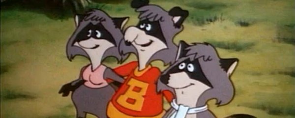 The Raccoons Banner