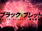 Black Bullet