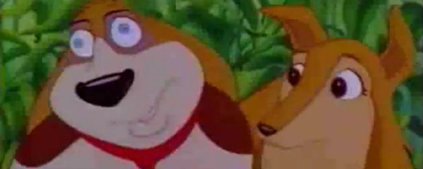 Rover Dangerfield Banner