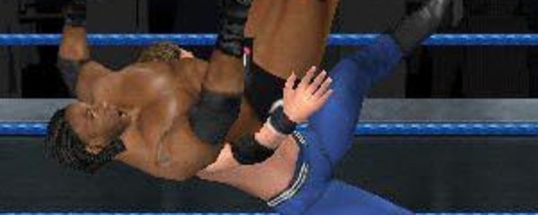 WWE SmackDown! vs. Raw 2006 Banner