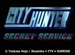 City Hunter: The Secret Service