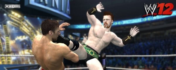 WWE '12 Banner