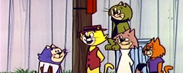 Top Cat Banner