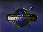 Big Bad Beetleborgs