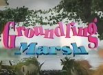 Groundling Marsh
