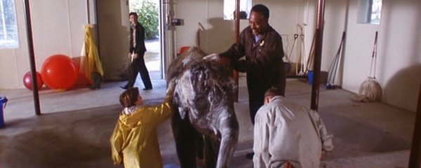 The Impossible Elephant Banner