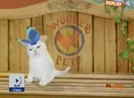 The Wonder Pets