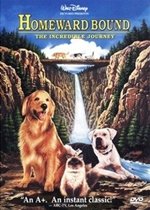Homeward Bound: The Incredible Journey