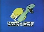 The Beany & Cecil Show