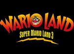 Wario Land: Super Mario Land 3