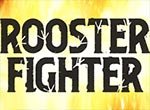 Rooster Fighter