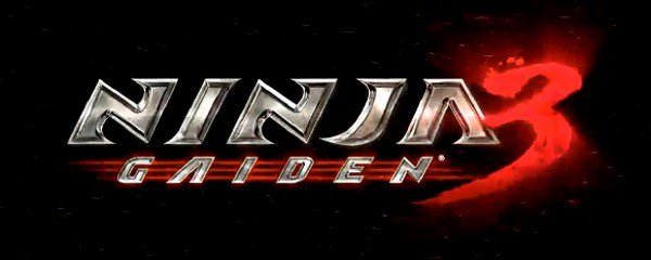 Ninja Gaiden 3 Banner