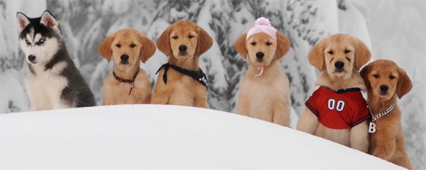 Snow Buddies Banner