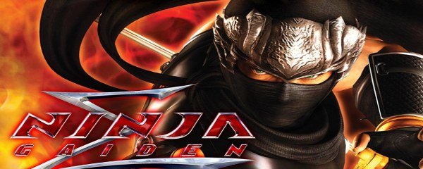 Ninja Gaiden Banner