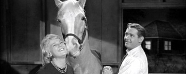 Mister Ed Banner