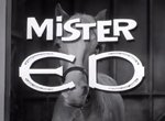 Mister Ed