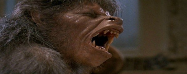 An American Werewolf in London Banner