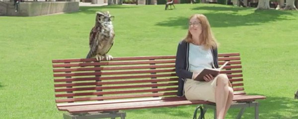 Americas Best Banner