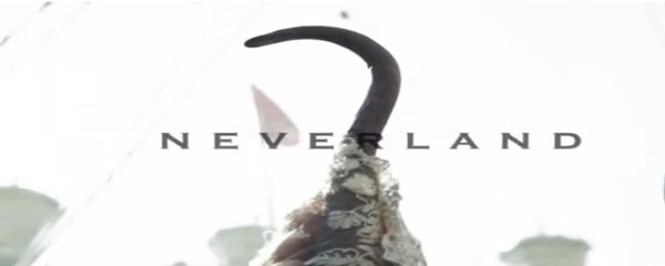 Neverland Banner