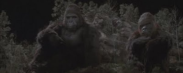 King Kong Lives Banner