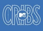 MTV Cribs