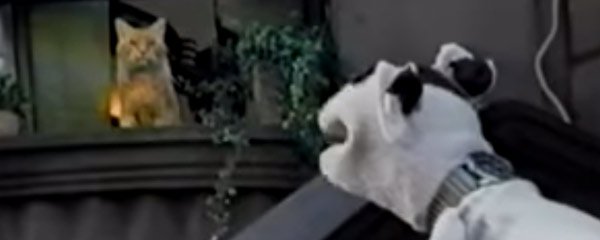 Pets.com Banner